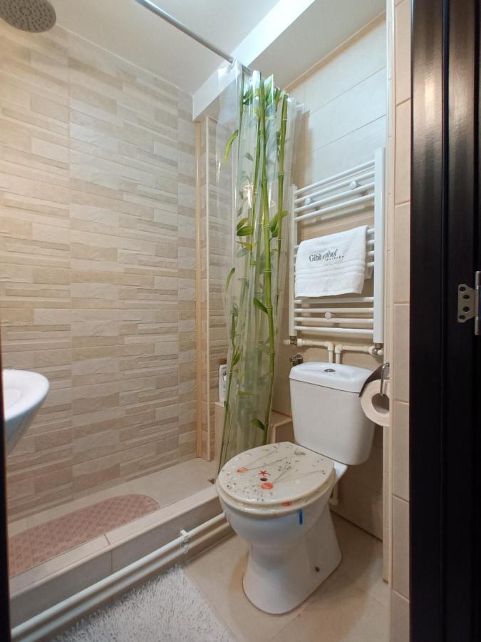 Studio Central Hunedoara Luaran gambar