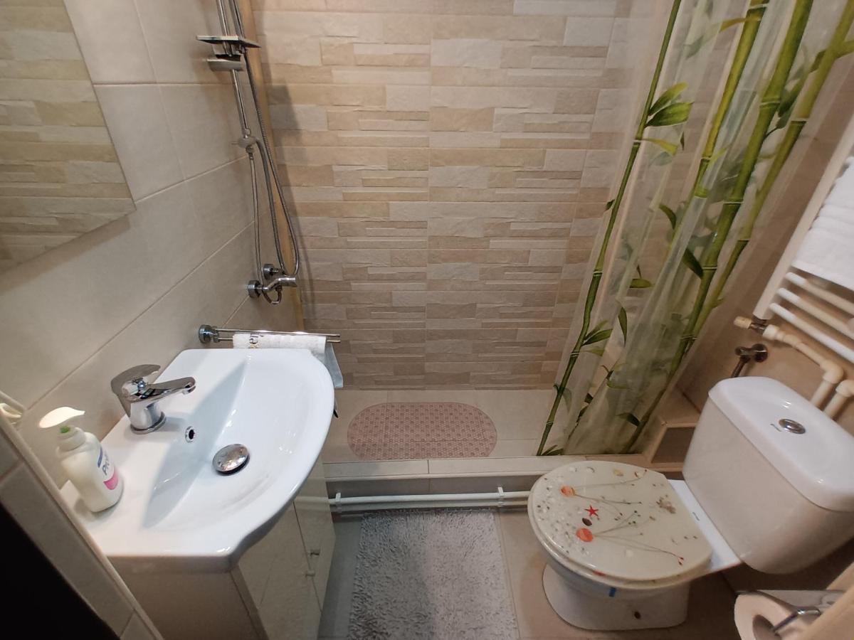Studio Central Hunedoara Luaran gambar